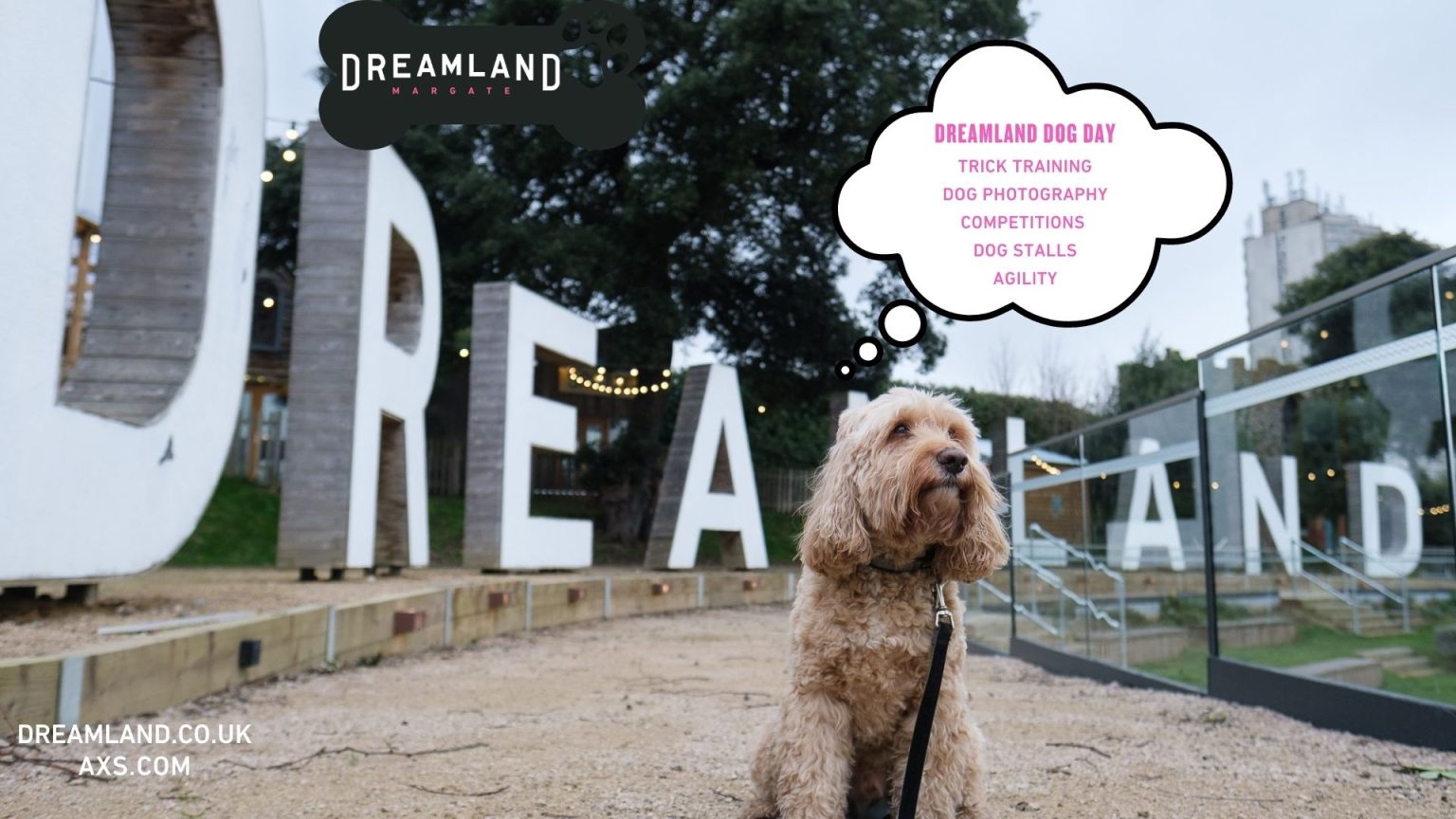 Dreamland Dog Day